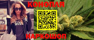Альфа ПВП Беслан