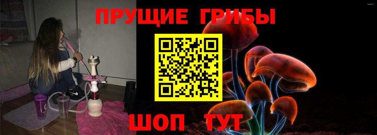 Гатчина  Псилоцибиновые грибы Psilocybine cubensis  Вход с VPN 